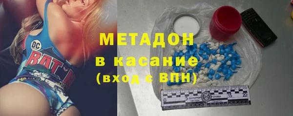 шишки Аркадак