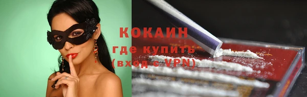 шишки Аркадак