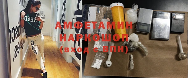 шишки Аркадак