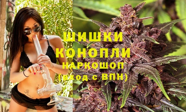 шишки Аркадак